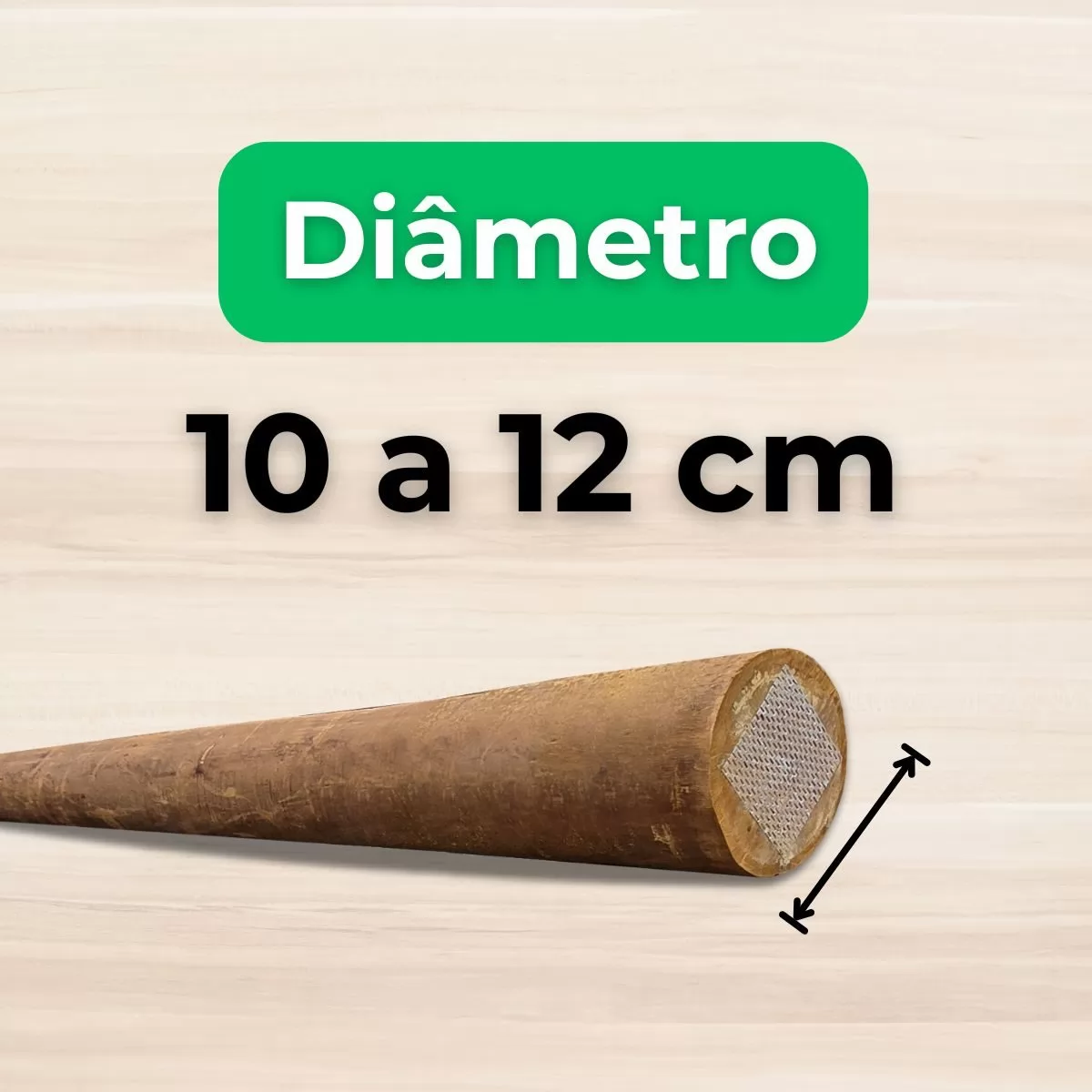 10 a 12 cm de Diâmetro