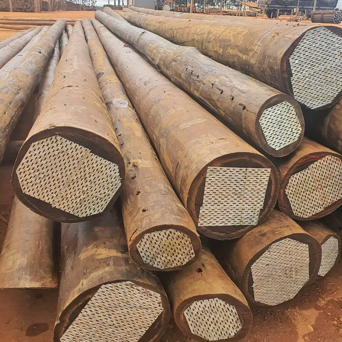 Eucalipto Tratado de Capelinha - MG | Blog União Madeiras