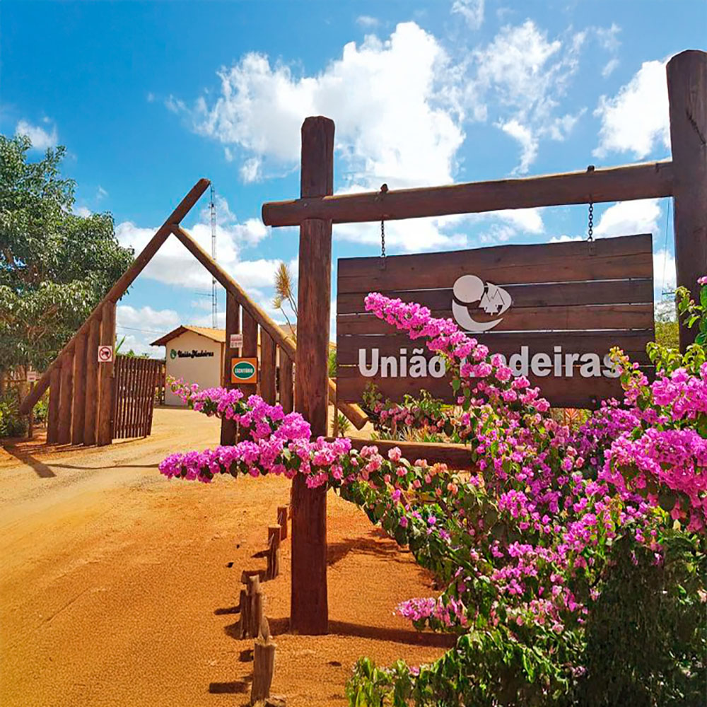 IMPORTÂNCIA DO TRATAMENTO DA MADEIRA