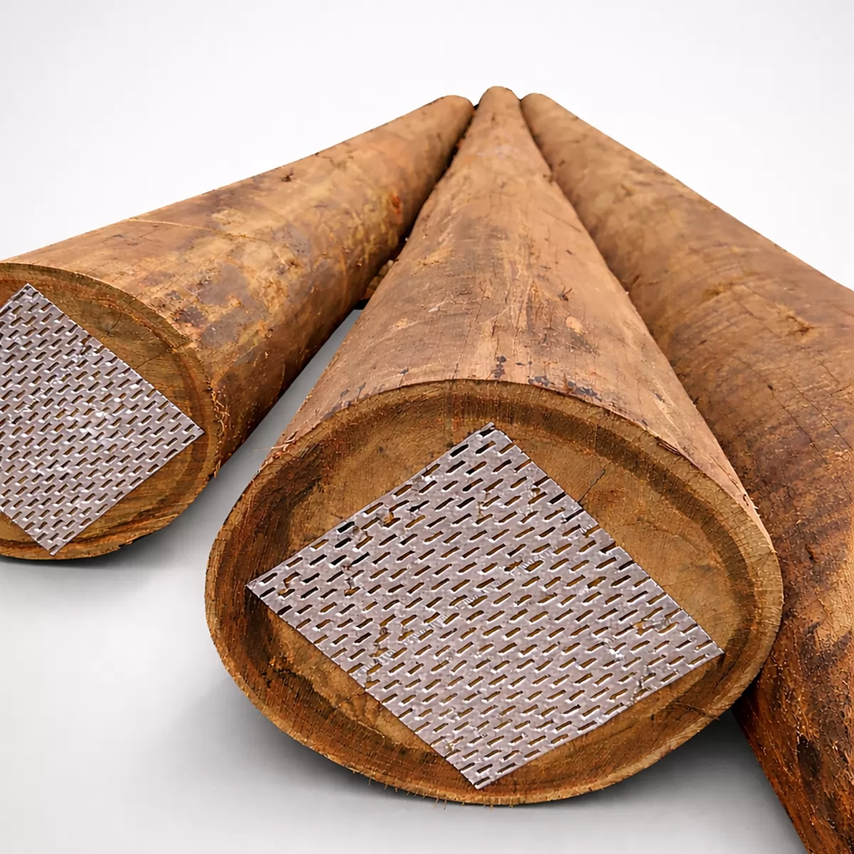 Preço do Eucalipto Tratado: Como é Definido?