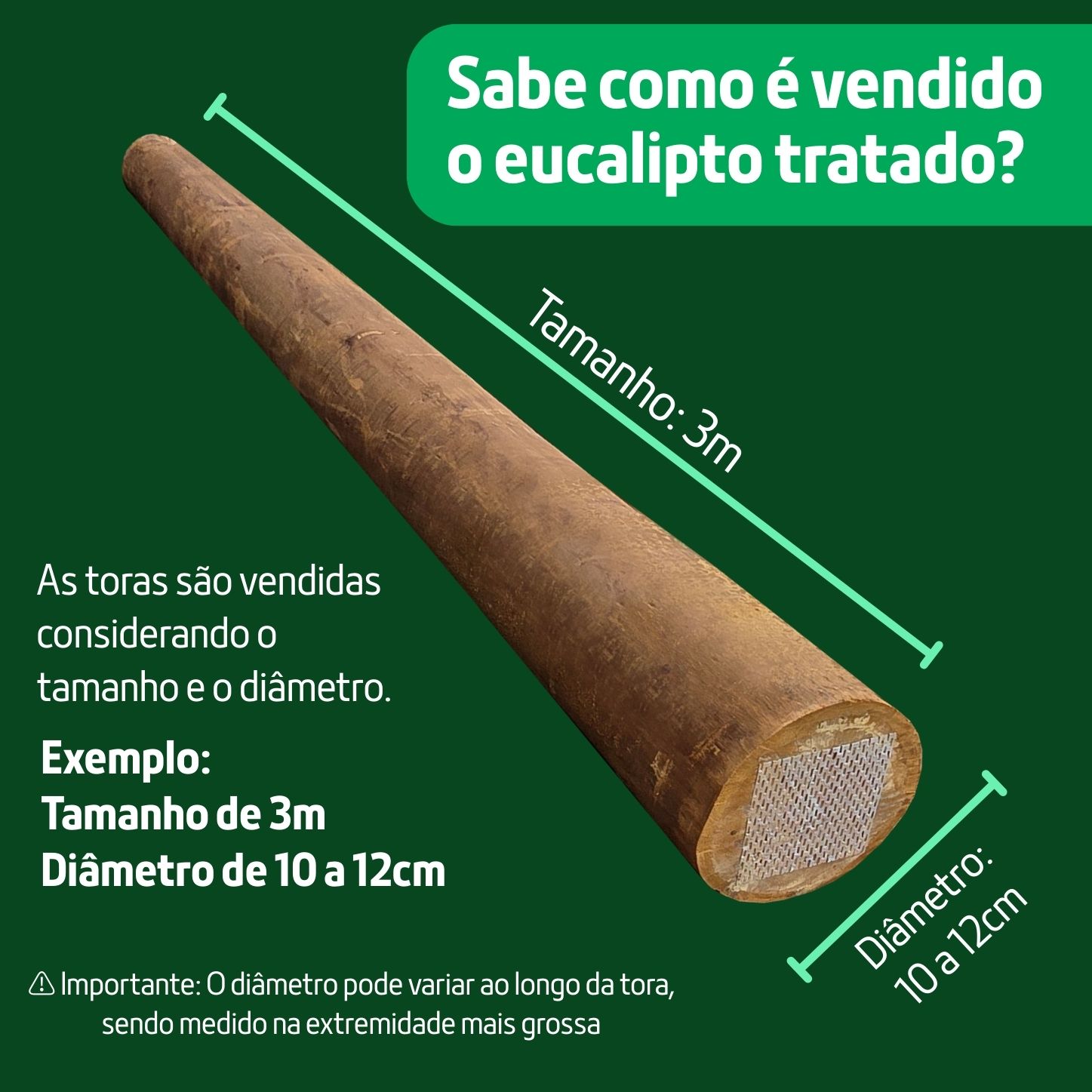 Guia de Tamanhos do Eucalipto